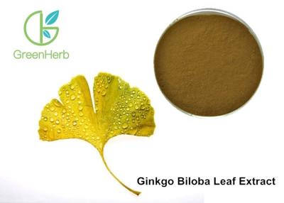 China Factory Supply Ginkgo Flavonoids , Terpene Lactones , Ginkgo Biloba Extract Powder for sale