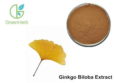 China Pure Ginkgo Biloba Leaf Extract Powder For Promoting Blood Circulation for sale