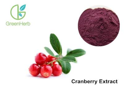 China Cranberry Standardized Extract 25% Anthocyanins , Cranberry Juice Extract for sale