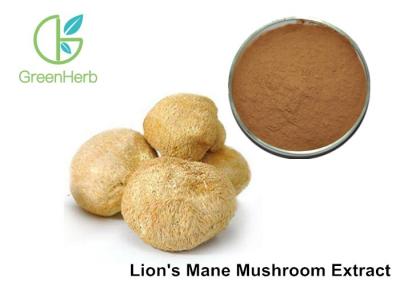 China Hericium Erinaceus Mushroom Polysaccharides , Pharmaceutical Organic Mushroom Powder for sale