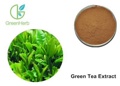 China Brown Fine Green Tea Extract Powder Polyphenols Anti - Inflammatory for sale