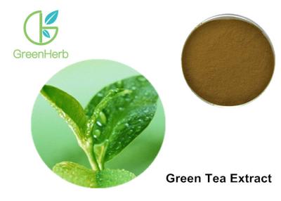 China Green Tea Extract And Weight Loss Anti - Aging , 30% Polyphenols Tea Extracts for sale