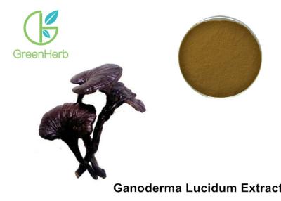 China Ganoderma Lucidum Extract , Reishi Mushroom Extract Powder Non - Irradiated for sale