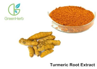 China 95% Curcumins Natural Food Pigments Turmeric Root Extract Anti - Inflammatory for sale