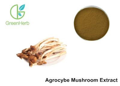 China Agrocybe Aegerita Mushroom Polysaccharides Extract Powder Anti - Aging for sale