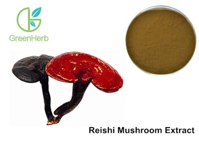 China Anti Aging Pure Reishi Mushroom Extract Beta D - Glucan Against Tumors for sale