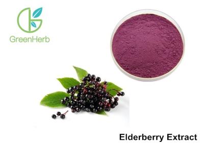 China Elderberry Extract Powder 25% Anthocyanins UV Diuretic And Stop Bleeding for sale