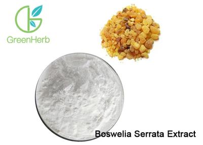 China Off White Boswellin Extract Powder / Boswelia Serrata Extract 65%~95% Boswllic Acid for sale