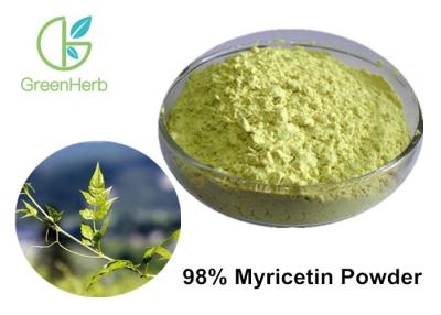 China Natural Monomer Powder Vine Tea Leaf Extract 98% Myricetin Powder for sale