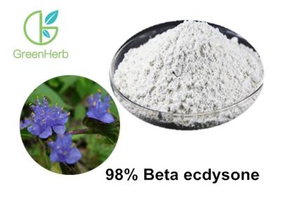 China Ecdysone Extract 98% Beta Ecdysone Cyanotis Arachnoidea Dew Grass Extract for sale