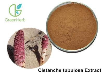 China Extracto herbario de los glucósidos 10%-85% Cistanche Tubulosa del total del extracto de la planta en venta