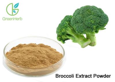 China Pure Vegetable Extract Powder Broccoli Sprout Extract Powder 0.5% - 98% Sulforaphane for sale