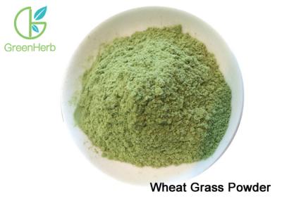 China 100% Natural Nutrition Supplement Wheat Grass Powder / Wheat Grass Juice Powder for sale