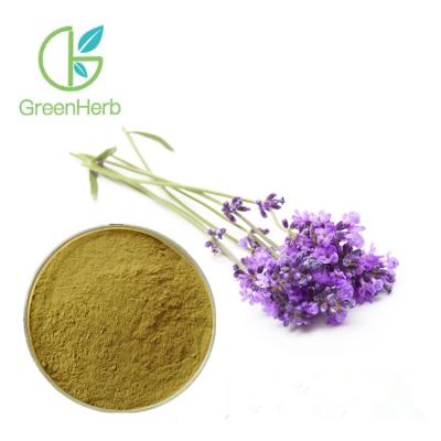 China Lavandula Angustifolia Natural Lavender Extract Powder UV Test Method for sale