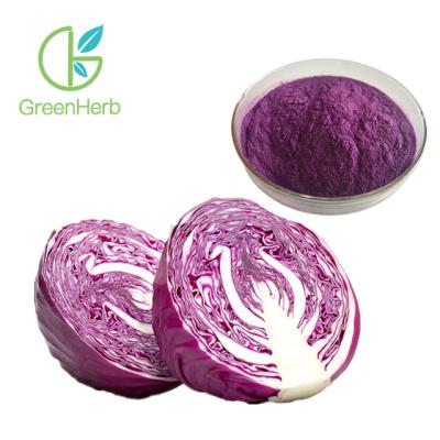 China Fine Vegetable Extract Powder Purple Cabbage Extract Powder Anthocyanins 10%-35% for sale