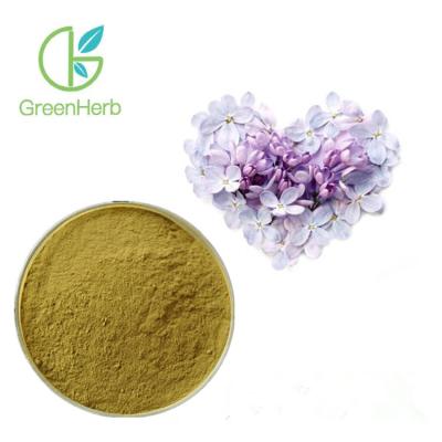 Chine Poudre naturelle d'eugénol d'extrait de clou de girofle d'extrait d'Aromaticum de syzygium de la fleur 100% à vendre