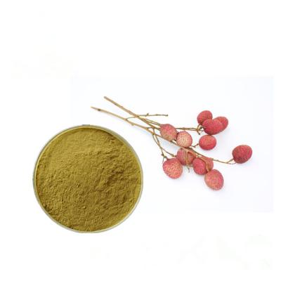 China Pure Natural Litchi Seed Extract Fruit Juice Powder Inhibition Of Collagenase for sale