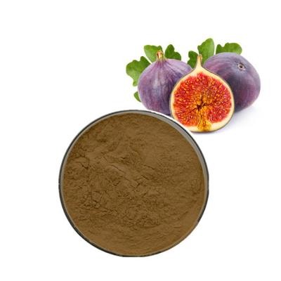 China Lower Blood Pressure Fumaric Acid Ficin Fig Fruit Powder Fig Extract Fig Powder for sale