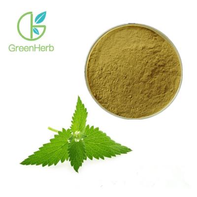 China Polvo del extracto del bálsamo de limón/malla del paso 80 del extracto el 98% de la hoja de Melissa Officinalis en venta