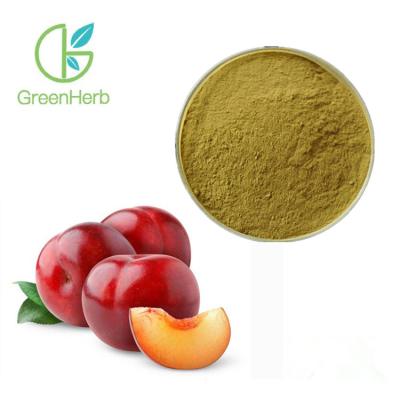 China Anti Allergy Dried Plum Extract Reduce Fatigue Brown Fine Powder UV Test Method for sale