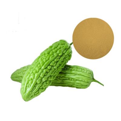 China 100% Pass 80 Mesh Vegetable Extract Powder Bitter Melon Powder Solvent Extraction for sale