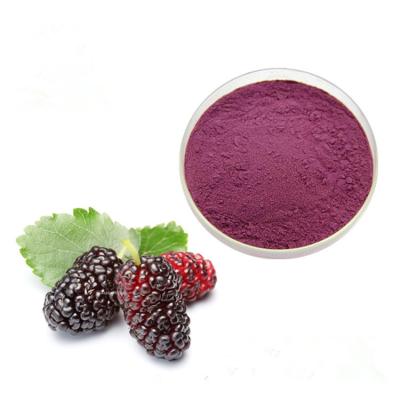 China Natural Mulberry Fruit Extract Anthocyanin CAS 84082-34-8 100% Pass 80 Mesh for sale