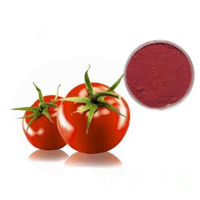 China Professional Tomato Extract Powder Lycopene Powder 5% 10% 20% Delay Aging for sale