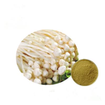 China Brown Yellow Fine Enoki Mushroom Extract Strengthen Immune System HPLC Test Method for sale