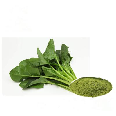 China Green Fine Vegetable Extract Powder Spinach Leaf Extract 80 Mesh For Food Additives for sale