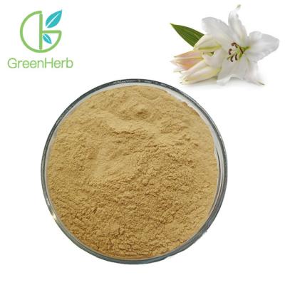 China Free Samples Natural 10:1 Lily Bulb Extract Powder White Lily Extract for sale