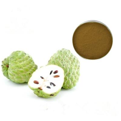 China Natural Sugar Apple Extract Sweetsop Extract Powder Sweetsop Extract 4:1 for sale