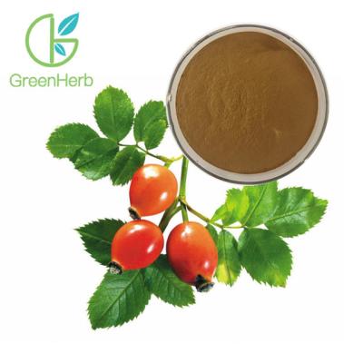 China Fruit Extract Powder Herbal Extract Rose Hips Extract Powder 5% VC for sale