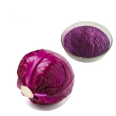 China Excellent Cabbage Powder Pigment Red Cabbage Purple Color for sale