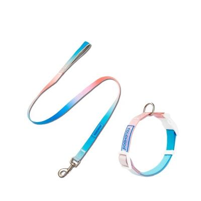 China Viable Hot Selling Personalized Custom Logo China Supplier Custom Dog Collar and Leash PVC Soft Material Dog Collar and Leash Set for sale