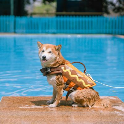 China Swimming Dog Life Vest Dog Sustainable Floating Life Vest For Dogs Pet Swim Jacket Life Saving Adjustable Coat for sale