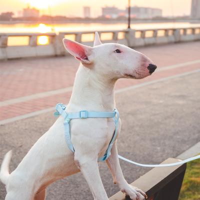 China Viable Wholesale Step In Dog Harness Custom Neoprene Adjustable No Pull Leash Harness Dog Set for sale