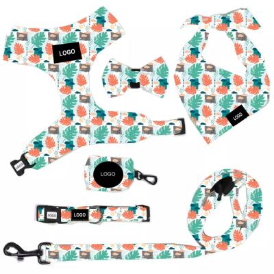 China Wholesale Fashion And Popular Printing Pet Supplies Dog Harness Set for sale