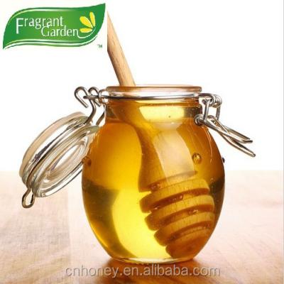 China Buy bulk honey from Honey Multiflora Honey Multiflora for sale