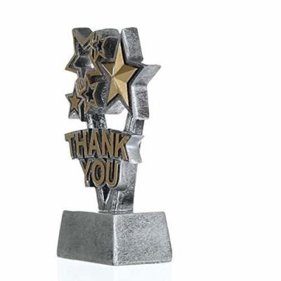 China Home Dector Thank You Trophy Appreciation Award Custom for sale