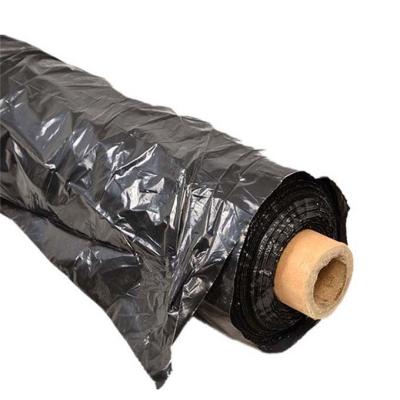 China Control Weeds Perforated Black Plastic Mulch Film For Agricultural Planting for sale