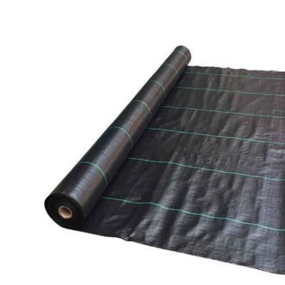 China Agricultural cultivation pp nonwoven weed control mat fabric weed control mat for sale