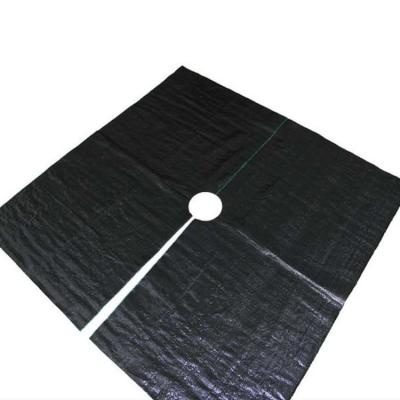 China Agricultural Cultivation Garden Feathery Stipe Control Cloth Ground Cover Weed Control Mat UV Weed Control Mat for sale