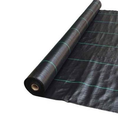 China Black weed control garden weed control fabric woven fabric from China agricultural professional agriculture manufacture for sale