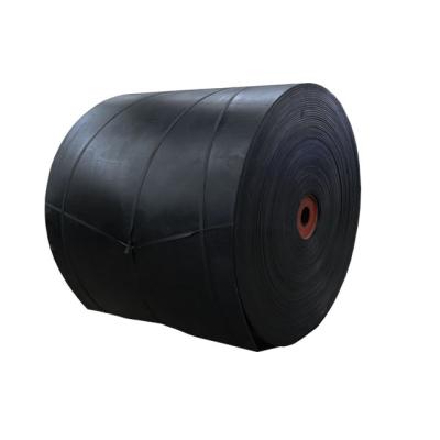 China High Elasticity PE Cold Resistant Conveyor Belts And Resistance Factory Price Excellent Cold Elasticity Made In China for sale