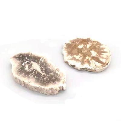 China Europe Natural Healing Crystals Silicified Spiritural Wood Fossil Slice Nat Geo Minerales Folk Crafts for sale