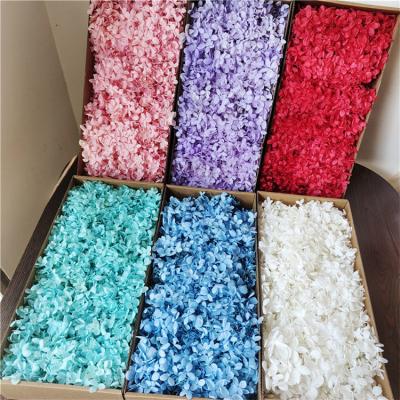 China Plastic Preserved Box Hydrangea Woody Hydrangea For Christmas Decorations For Drop Glue Accessories Flower Materials For DIY Flowers for sale