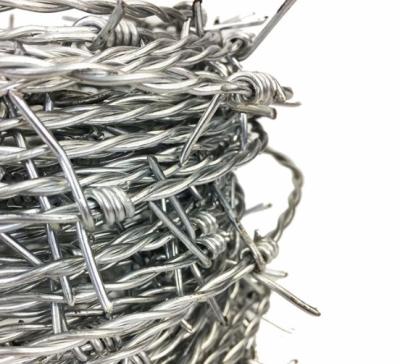 China Amazon Choice Razor Barbed Wire Galvanized Barbed Wire for Fencing for sale