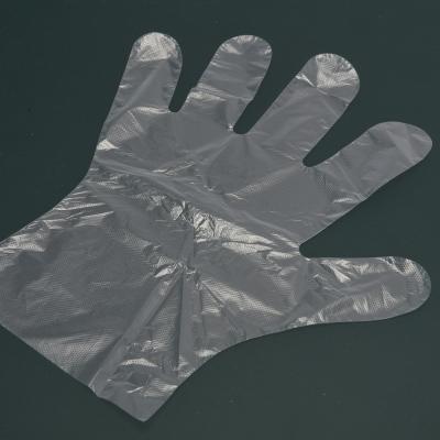 China Multipurpose HDPE Transparent Food Safe Plastic Gloves For Food Handling And Cleaning Summer Season for sale