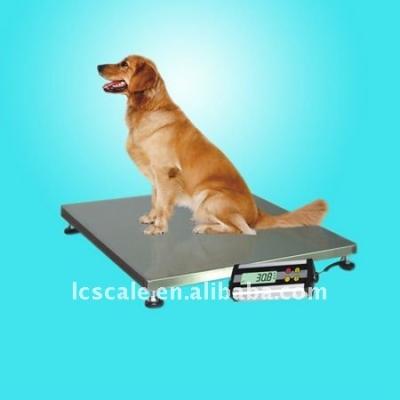 China Pet Hospital and Store 150kg Digital Pet Scale for sale