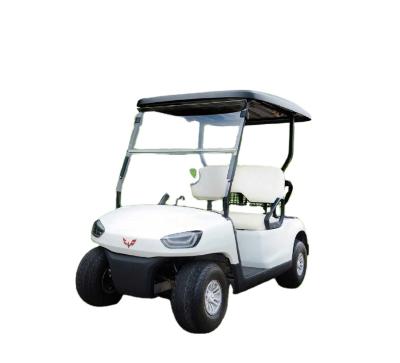 China 2020 Hot Selling T200 Mini Golf Cart Electronics for sale